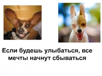 Если будешь улыбаться, все мечты начнут сбываться