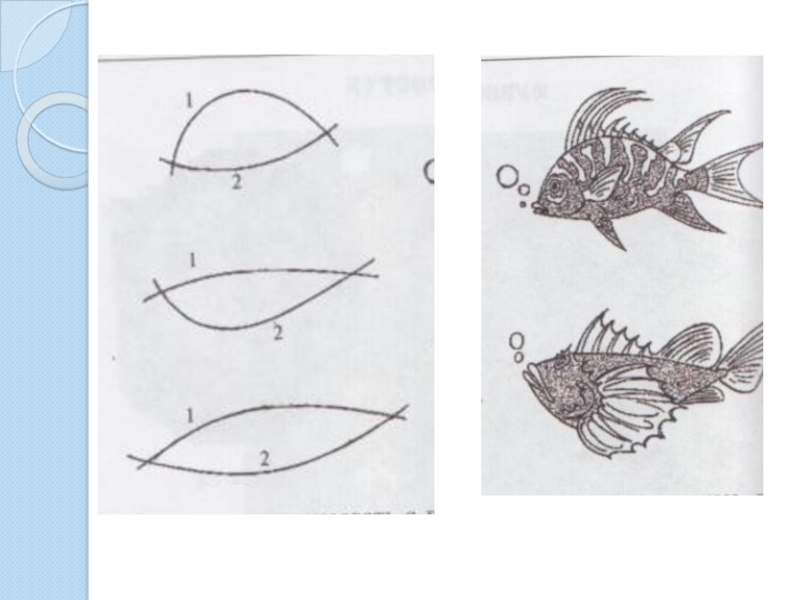 Поэтапное рисование рыбки 1 класс презентация