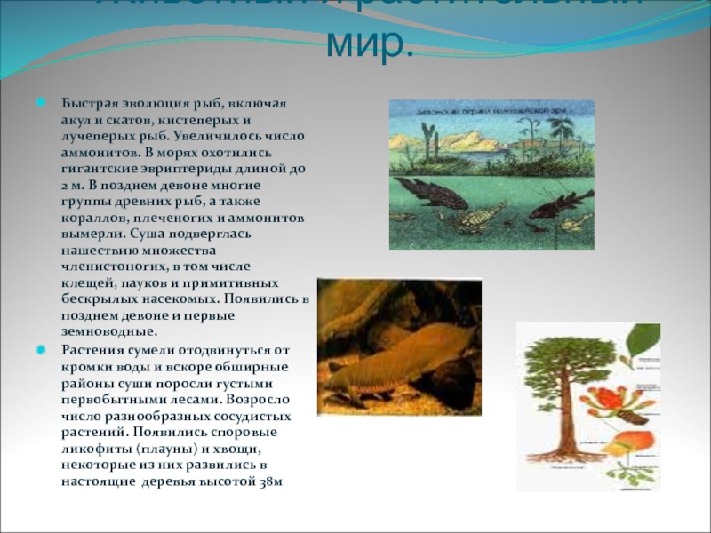 Презентация по биологии 9 класс палеозойская эра