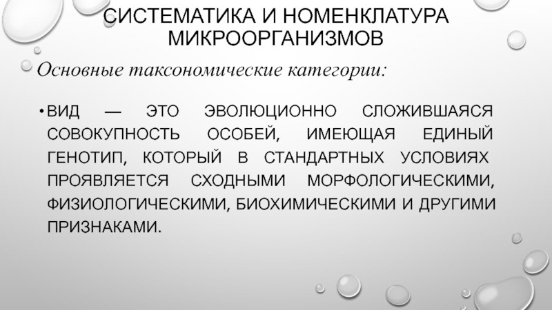 Особая имеющая. Систематика и номенклатура микроорганизмов. Таксономические категории микроорганизмов номенклатура. Таксономические категории микробиология. Основные таксономические категории бактерий.