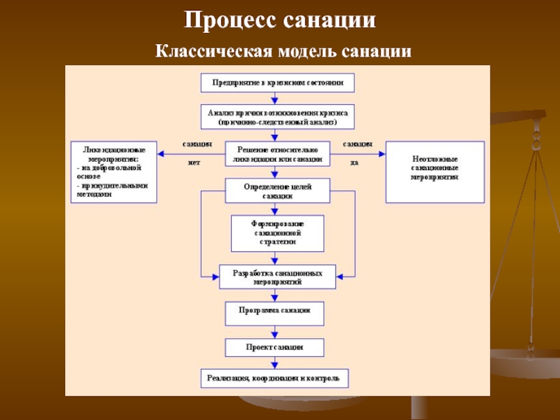 Понятие санации