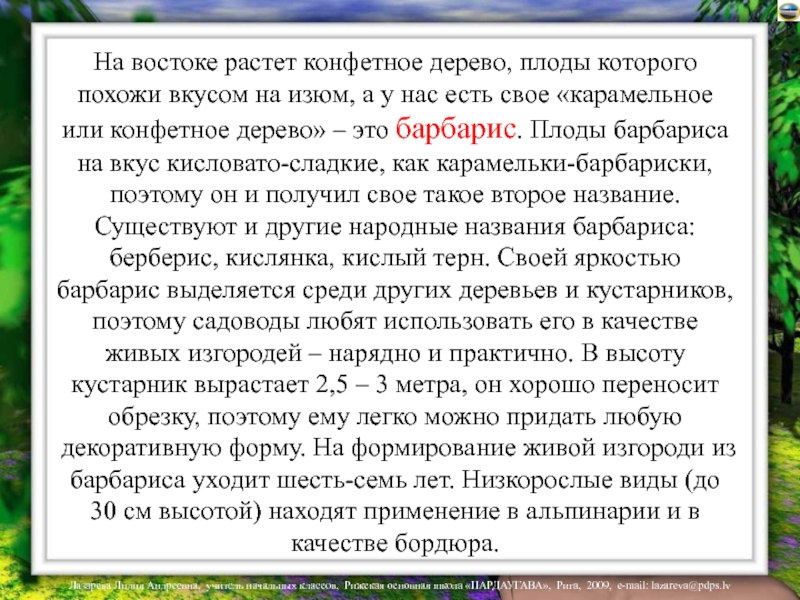 Восток расти. Барбарис сообщение для 2 класса. Что растет на востоке. Тема сообщения прогулка по саду. Доклад о барбарисках на 3 класс.