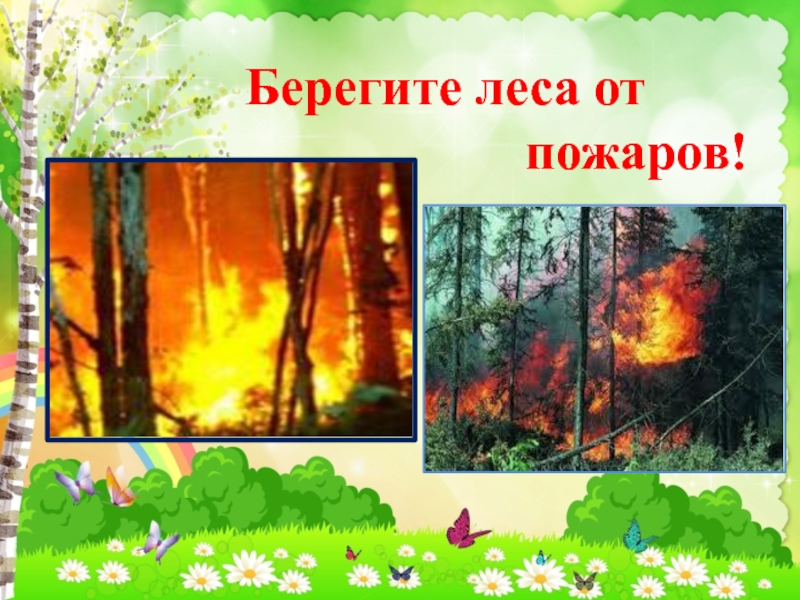 Проект береги лес. Беречь лес от пожара. Лес наше богатство для дошкольников. Береги лес от пожара. Берегите природу лес.