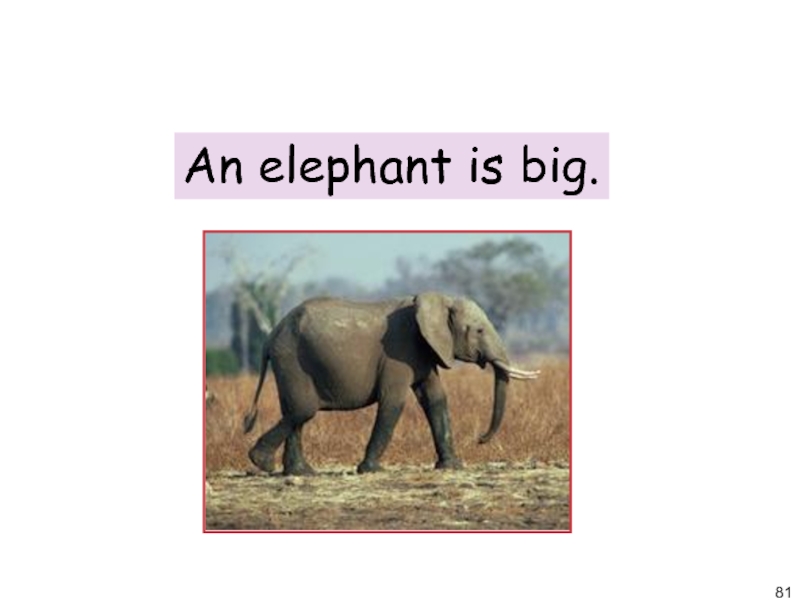 Как переводится is big. The is big Elephants или the is Elephants big. An Elephant is a big animal 3 класс. Подчеркни правильное прилагательное Elephants are big bigger animals. The Elephant is big.