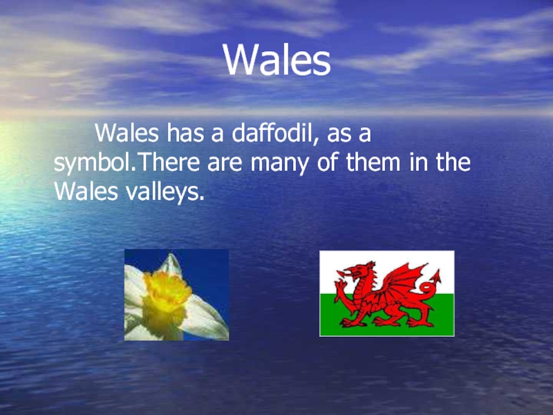 Wales    Wales has a daffodil, as a symbol.There are many of them in the