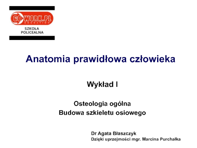 Презентация Anatomia prawidłowa człowieka