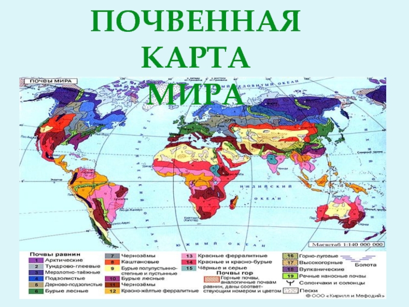 Почвенная карта мира