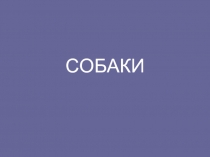 СОБАКИ