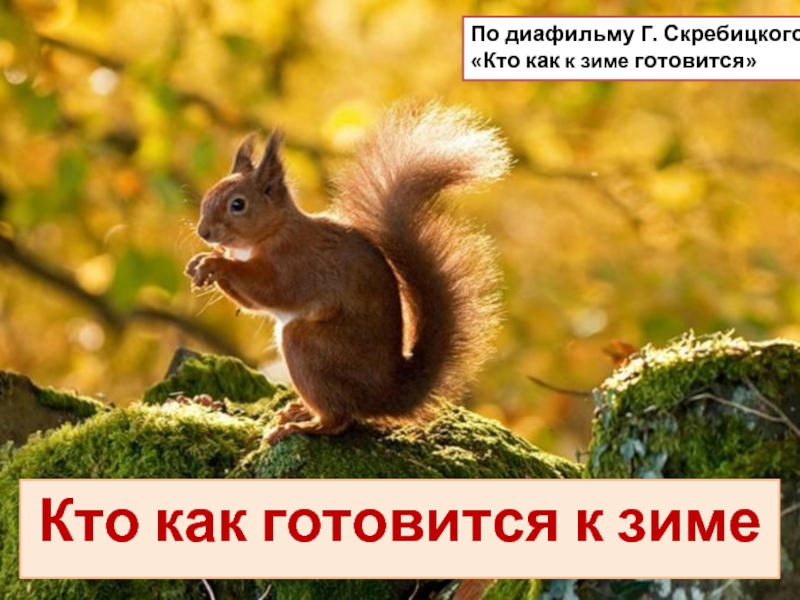 Кто как к зиме готовится