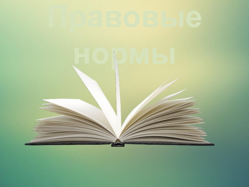 Правовые нормы