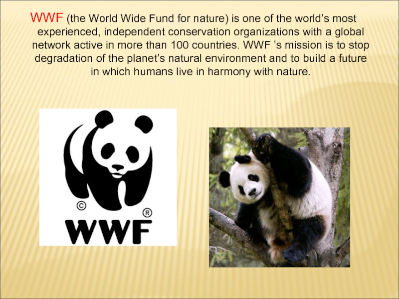 Презентация на тему wwf