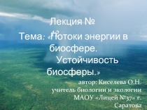 Потоки энергии в биосфере. Устойчивость биосферы