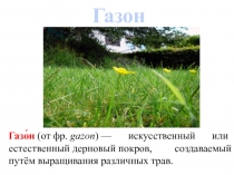 Газон