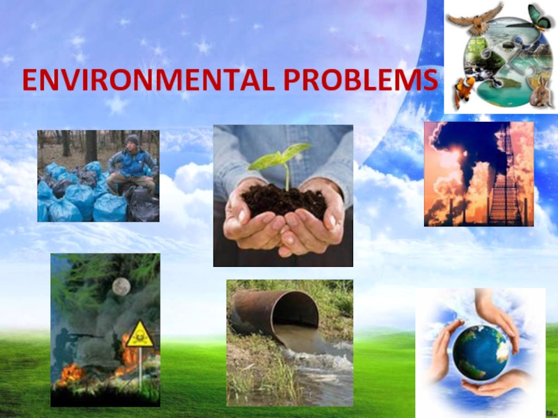 Environmental problems 8 класс