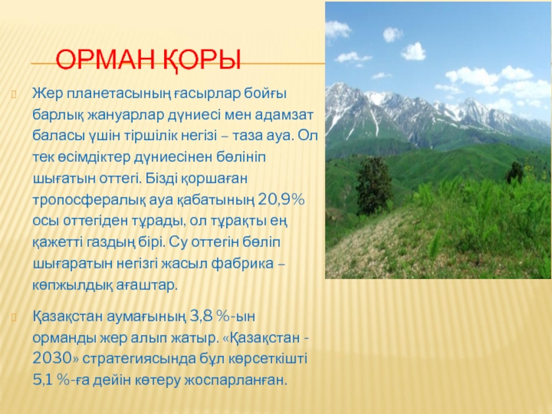 Орманды қорғау презентация