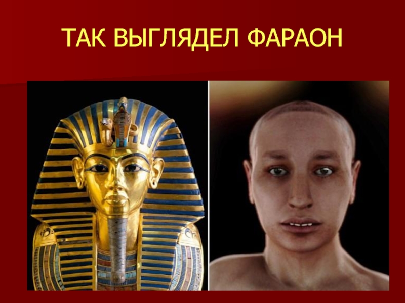Сколько жене фараона. Фараон Тутанхамон лицо. Тутанхамон живой.