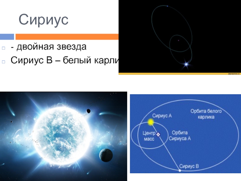 Проект на тему сириус