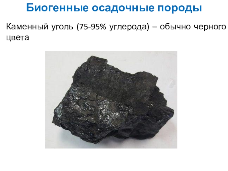 Биогенные осадочные породыКаменный уголь (75-95% углерода) – обычно черного цвета