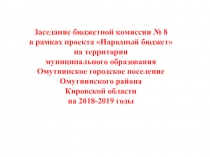 Заседание бюджетной комиссии № 8 в рамках проекта Народный бюджет на