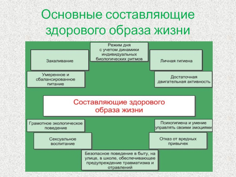 Темы для проекта по обж 10 класс