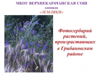 МКОУ ВЕРХНЕКАРАЧАНСКАЯ СОШ команда ЗЕМЛЯКИ