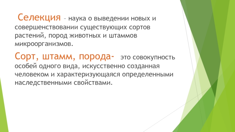 Что называют породой сортом. Селекция порода сорт штамм. Сорт "а". Сорт порода штамм это в биологии. Порода и сорт это в селекции.