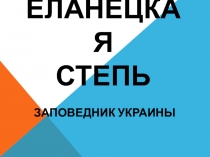 Еланецкая степь