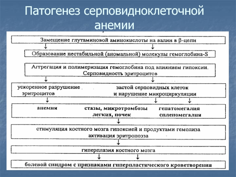 Патогенез жда схема