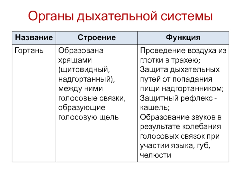 Таблица органы дыхания. Тип дыхания орган дыхания организмы таблица. Органы дыхания таблица 7 класс. Вывод к таблице органы дыхания. Дыхание ЕГЭ.