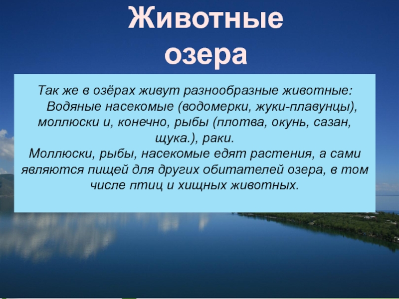 Текст о озере. Прощание с Матерой. Крупное озеро в Подмосковье. Водоёмы Подмосковья названия. Водоёмы Московской области 4 класс.