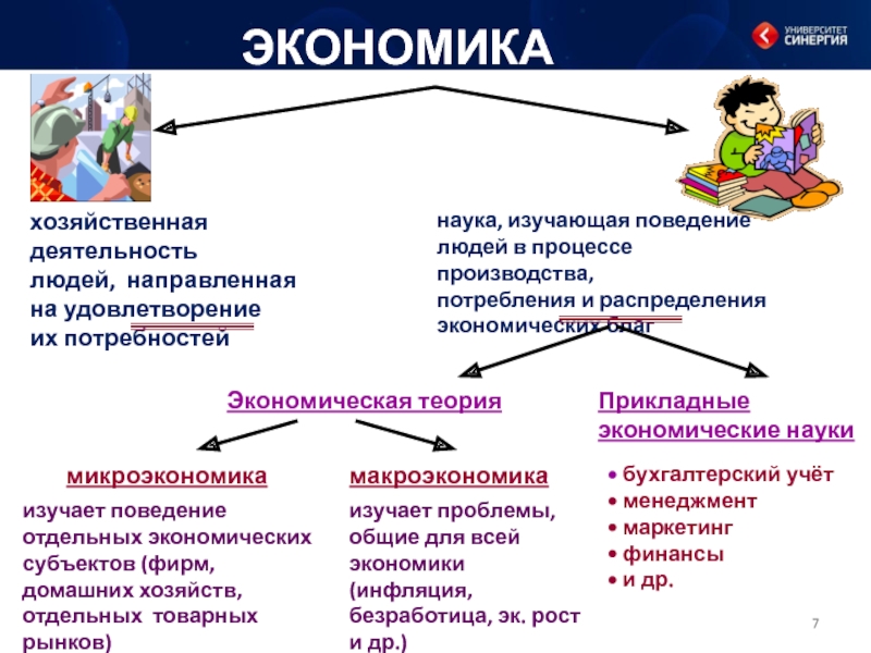 Наука изучающая поведение