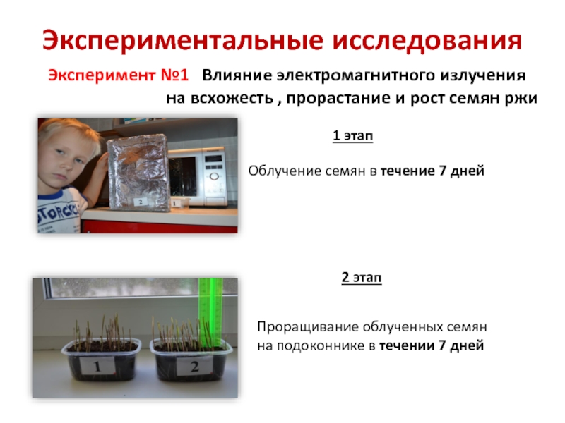 Изучение влияния электромагнитных полей на среду обитания человека проект