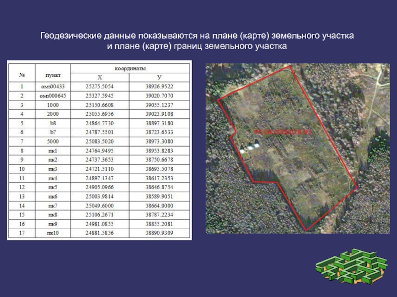 Карта с пунктами геодезическими