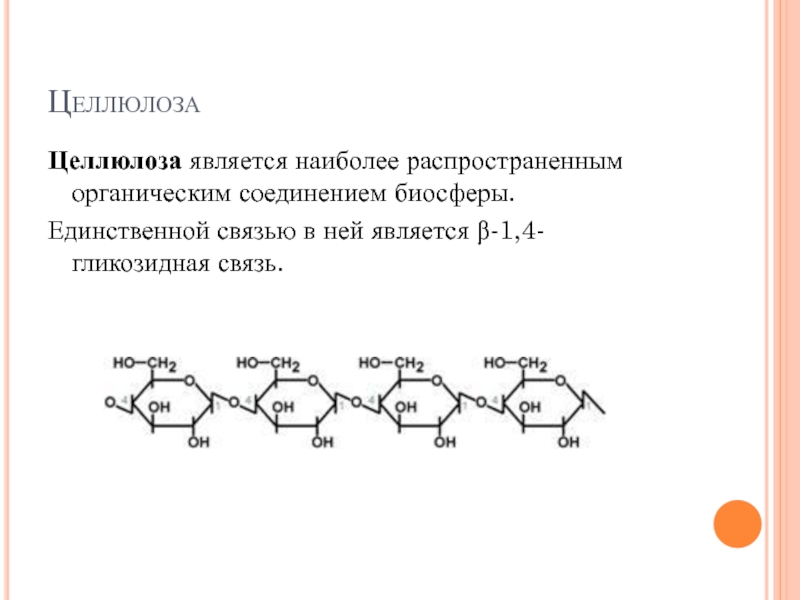 Единственная связь. Тип гликозидной связи в целлюлозе. Целлюлоза является. Какие связи в целлюлозе. Целлюлоза типы гликозидных связей.