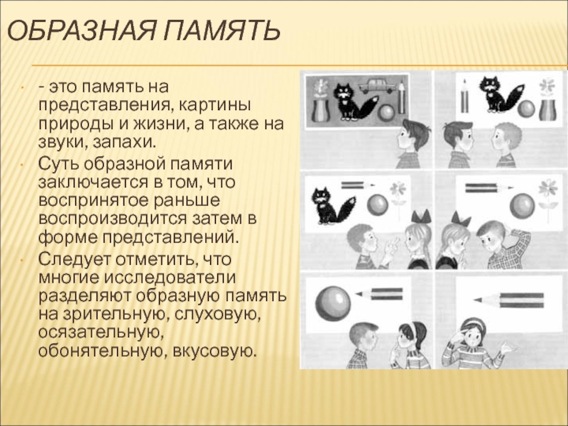 Память на представления на картины природы и жизни а также на звуки запахи вкусы называется