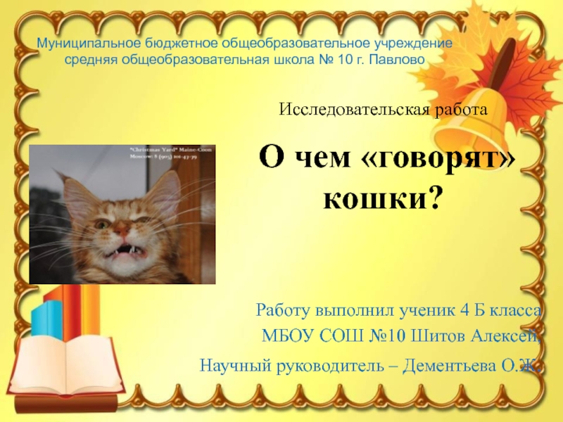 Готовые работы 2 класс. Исследовательская работа про кошек. Исследовательская работа на тему кошки. Исследовательский проект на тему кошки. Исследовательский проект про кошек.