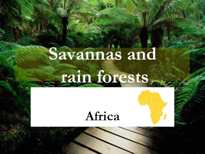 Savannas and rain forests. Africa 3 класс