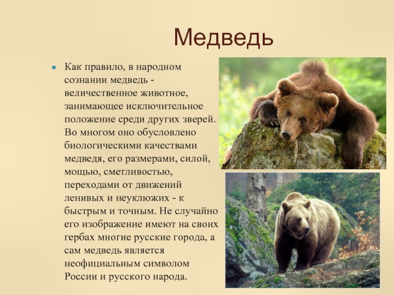 Что означает медведь. Неофициальные символы России медведь. Неофициальные символы России медведь для детей. Животные символы России. Медведь символ России.