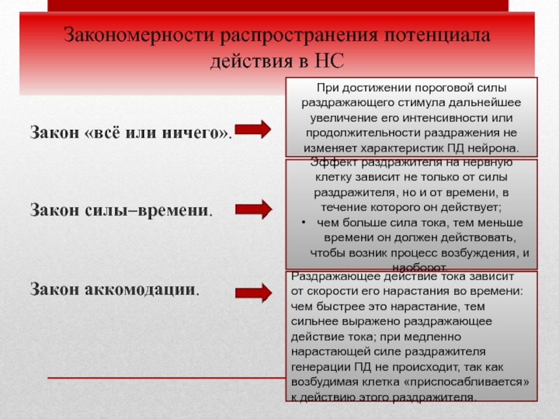 Закономерность распространения течений. Закон все или ничего. Закон силы все или ничего. Закон все или ничего потенциал действия. Законы возбуждения: «всё или ничего», «силы»..