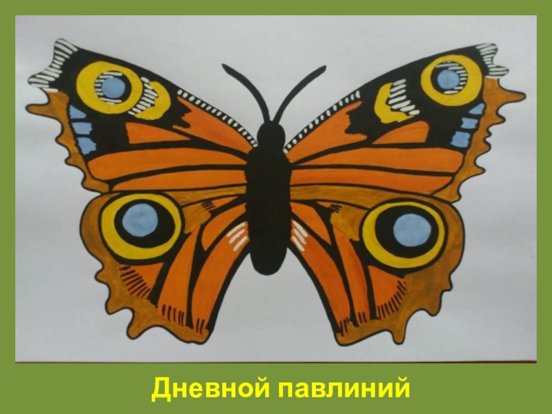 Урок изо 1 класс узоры на крыльях