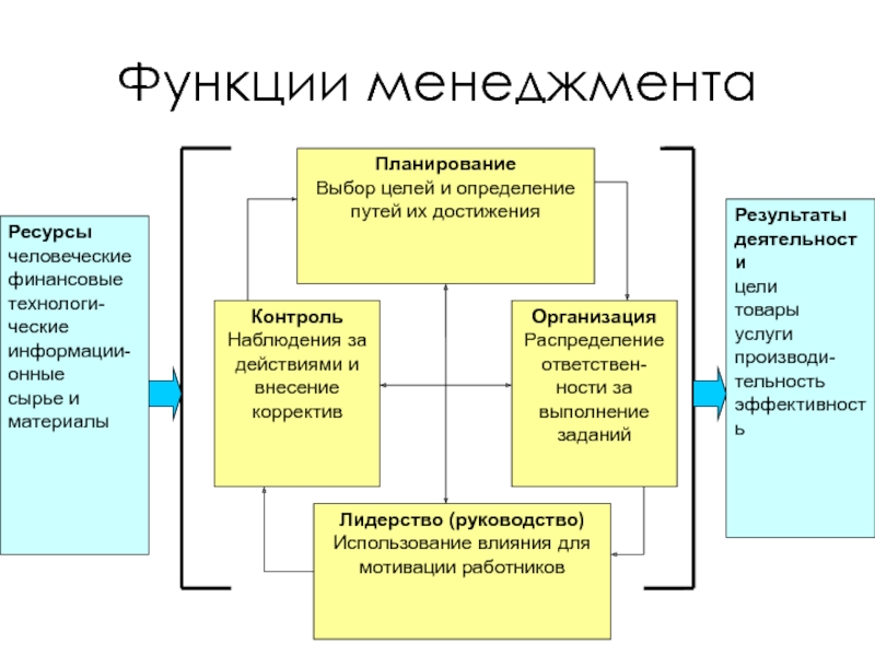 Общий и функциональный менеджмент и проект менеджмент