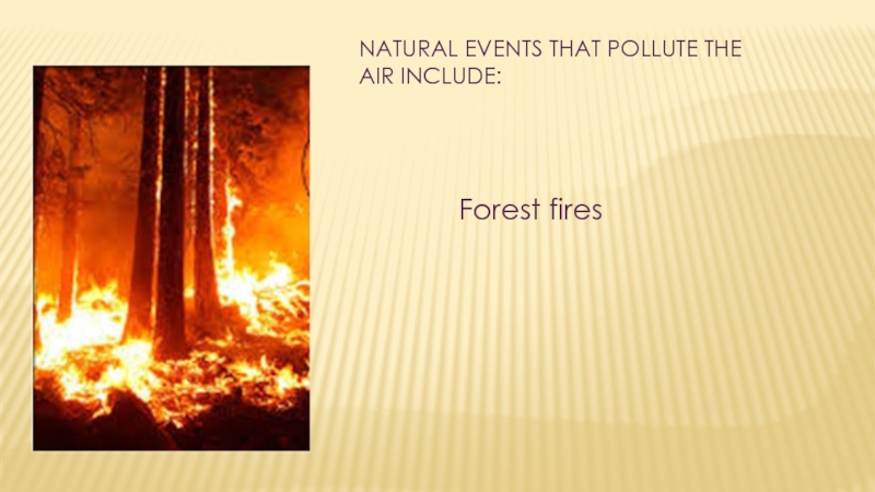 Natural events. Natural events that pollute the Air. Forest Fires текст. Natural events that pollute the Air include. Forest Fires текст ответы.
