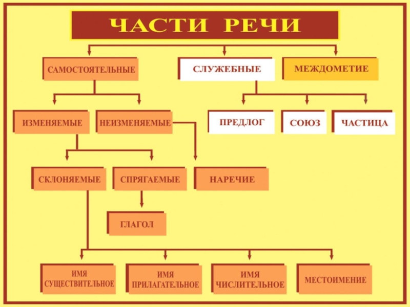 Работа 3 части речи. Существительное это самостоятельная часть речи. Имя существительное это самостоятельная часть речи. Изменяемые самостоятельные части речи. Части речи 5 класс русский язык.