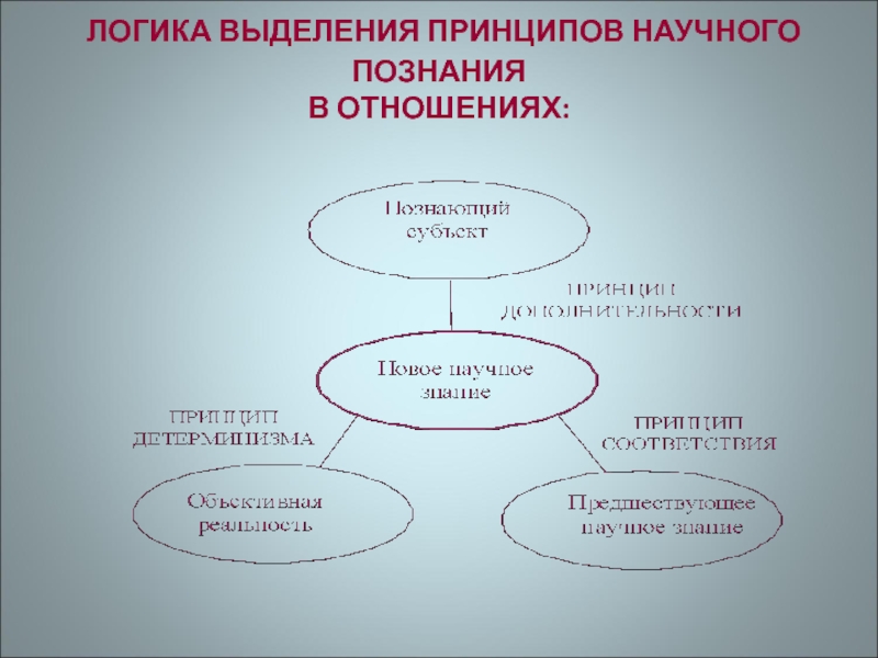 4 принципы научного исследования