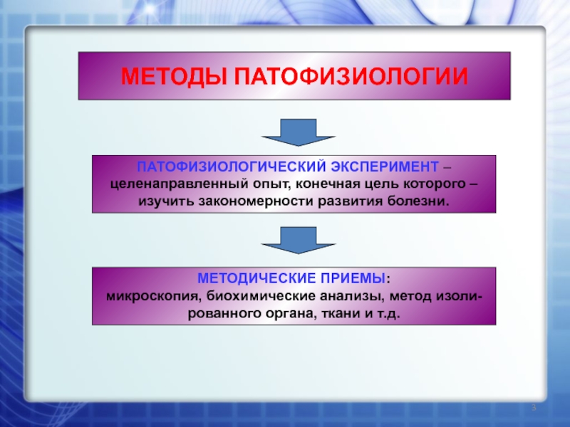 Патфиз. Методы патофизиологии. Методы эксперимента в патофизиологии. Методики эксперимента патофизиология. Экспериментальные методики в патофизиологии.