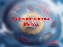 Митоз