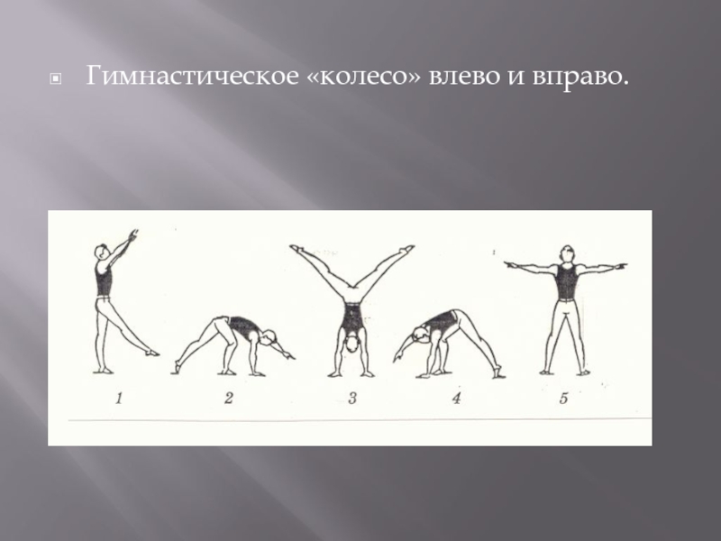 Техника колесо. Колесо техника выполнения. Гимнастическое «колесо» влево и вправо.. Техника выполнения колеса в акробатике. Упражнения с гимнастическим колесом.