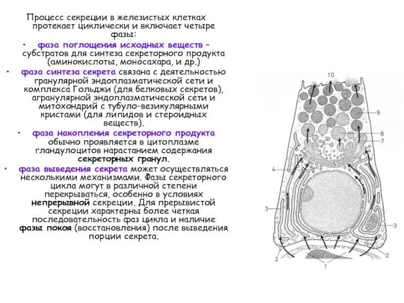 Протекающих в клетках и