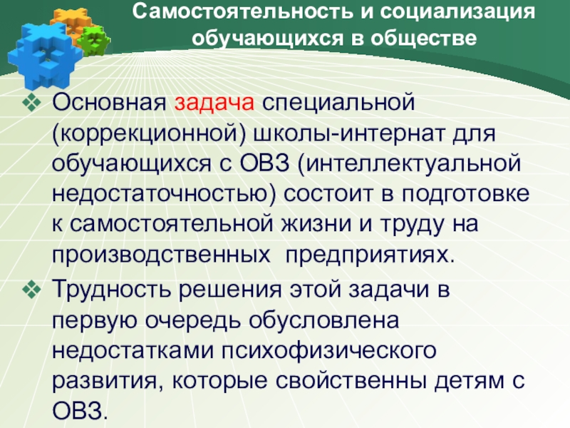 Характеристика 5 класса овз. Задачи для интерната. Задачи СЭЗ. Профильный труд комнатные растения 5 класс ОВЗ презентация.