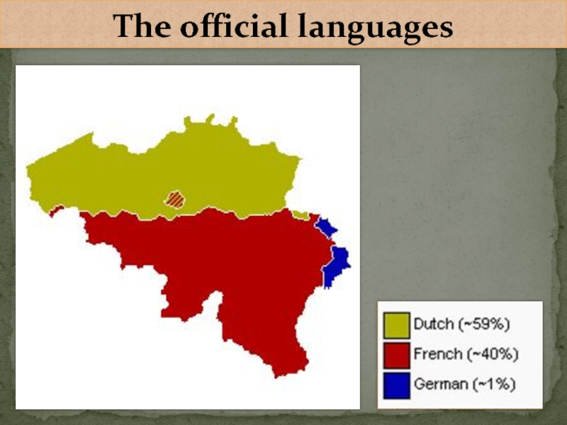 Official language. Официальный язык Бельгии. Текст на бельгийском языке. Belgium presentation на английском. What is the Kingdom of Belgium?.